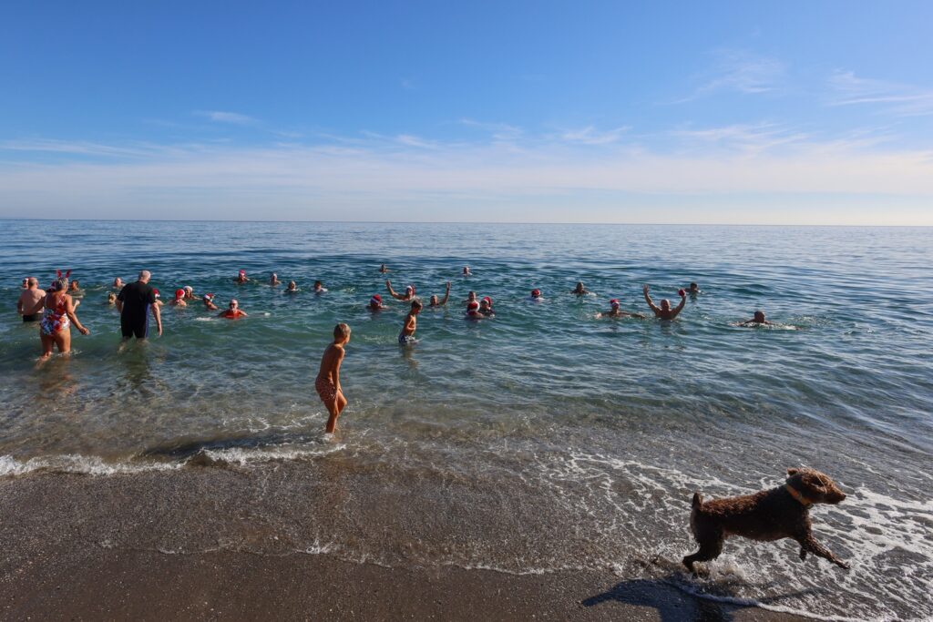 Boxing Day Swim