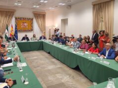 Soluciones de movilidad para la Costa del Sol Mobility strategy for the Costa del Sol meeting