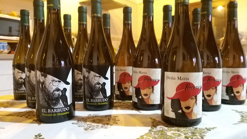 Bodegas Bocanegra