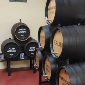 Bodegas Manilva