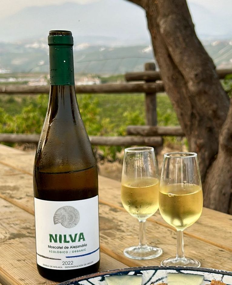 Nilva wine