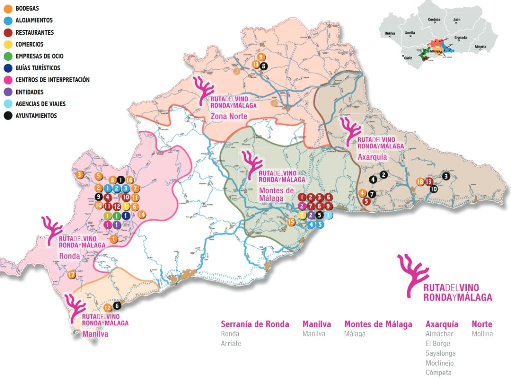 Ruta del Vino Ronda and Malaga