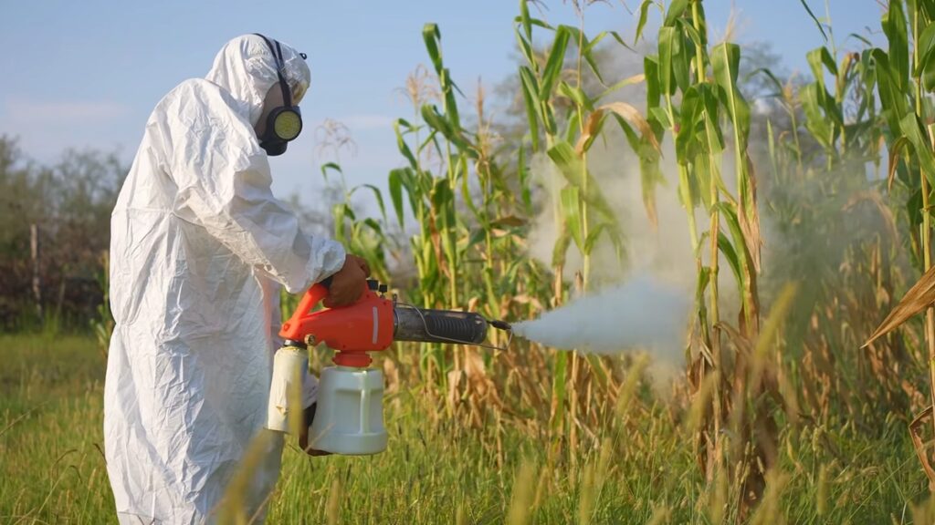 West Nile Fever treatment