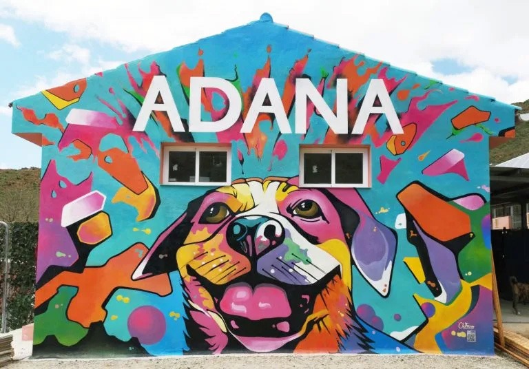 ADANA mural by Craig Wilson Frazer