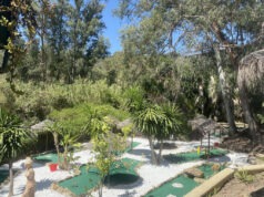 The Roman Oasis is open again for its 44th season! Roman Oasis