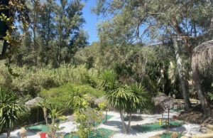The Roman Oasis is open again for its 44th season! Roman Oasis