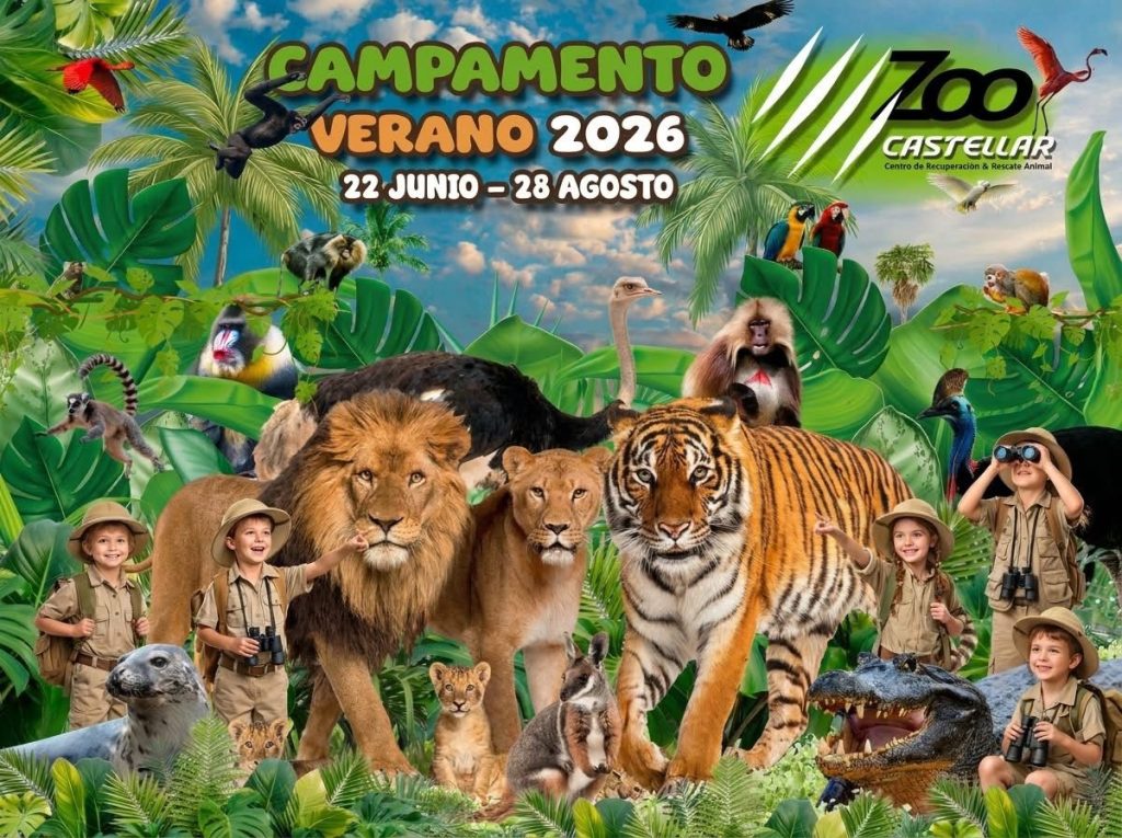 Zoo Camp