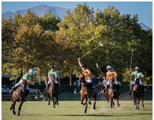 Sotogrande Gold Cup final brings world-class polo to Manilva’s doorstep Polo Sotogrande