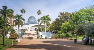 Estepona orchid fair returns with unusual plants and expert workshops Orchidarium